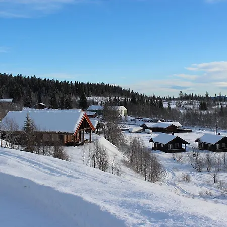 Lodger Gamlestølen Fjellstue *
