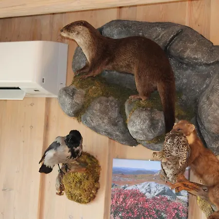 Lodger Gamlestølen Fjellstue *