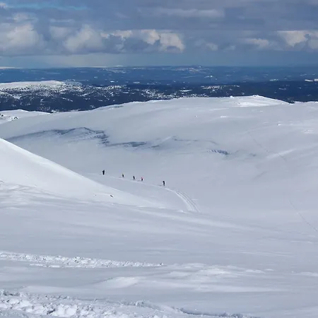 Lodge Gamlestolen Fjellstue *