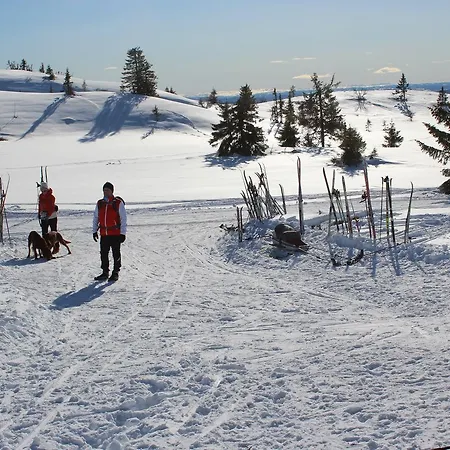 Gamlestolen Fjellstue * Etnedal