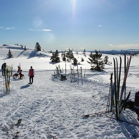 Chata Gamlestolen Fjellstue *