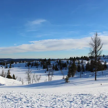 Lodge Gamlestolen Fjellstue *