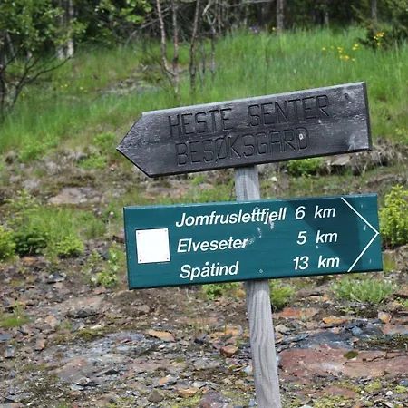 Lodger Gamlestølen Fjellstue *