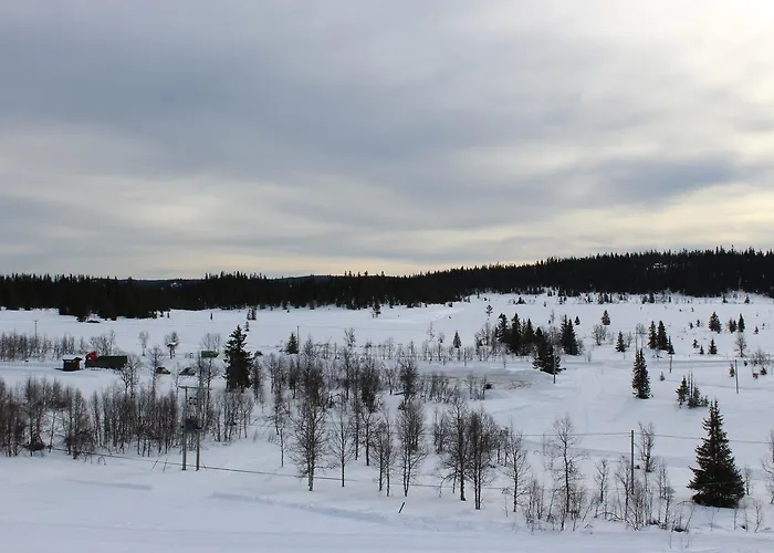Domek letniskowy Gamlestolen Fjellstue *