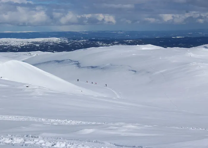 Domek letniskowy Gamlestolen Fjellstue *