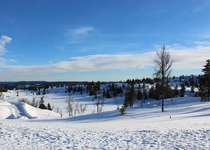 Domek letniskowy Gamlestolen Fjellstue *