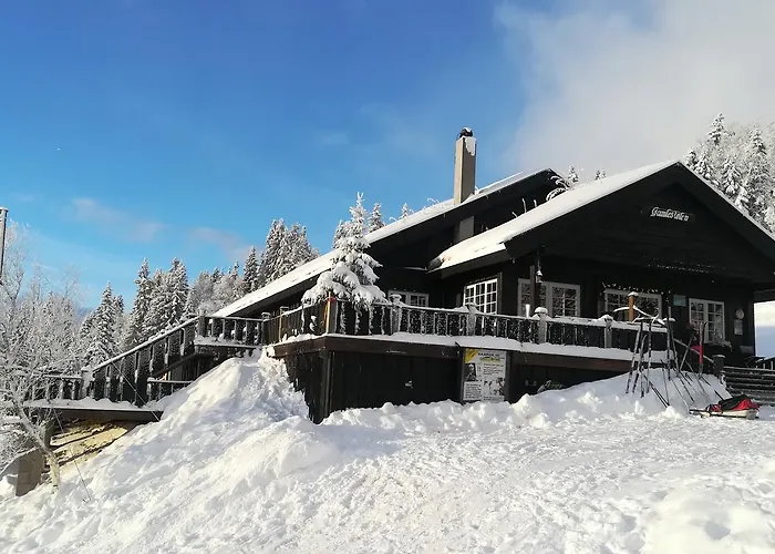 Domek letniskowy Gamlestolen Fjellstue