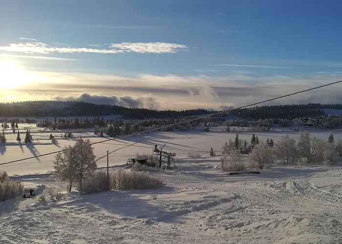 Gamlestolen Fjellstue Domek letniskowy *